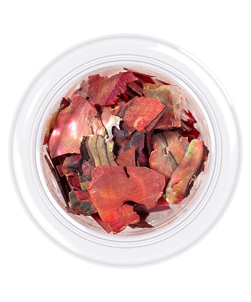 Shell for nails Shells style 06 3 g Shell for nails Shells style 06 3 g